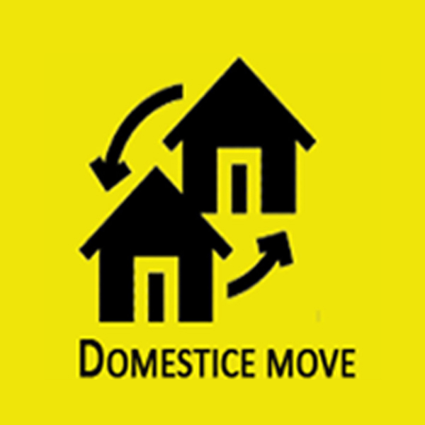 Domestic Move